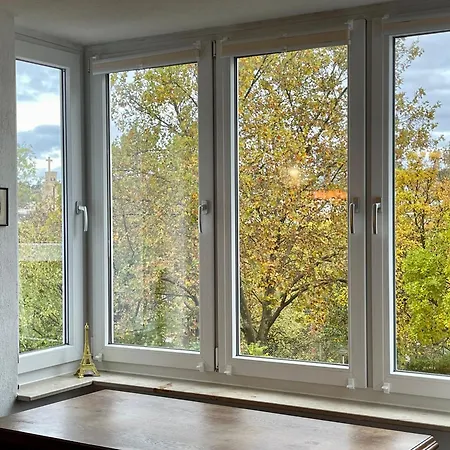 Daire Wunderschoenes Im Zentrum Goldstadt *